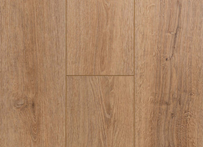 Concorde Oak in Oak Ram