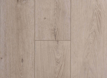 Concorde Oak in Sandy Cliff