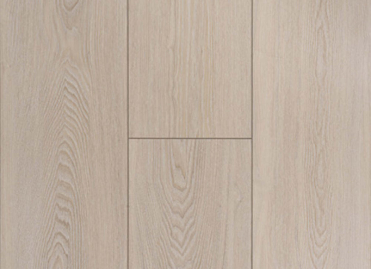 Concorde Oak in True North