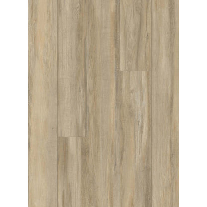 Pro Solutions II in Autumn Ember Luxury Vinyl