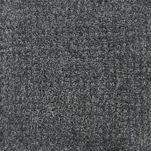 Porter in Coal Carpet
