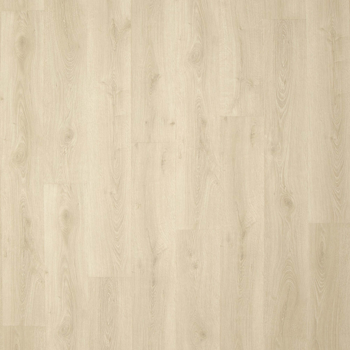 Preferred LeGrand in Lantern Laminate