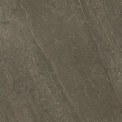 Portugal in Madeira Reserve 12"x24" Unpolished Tile