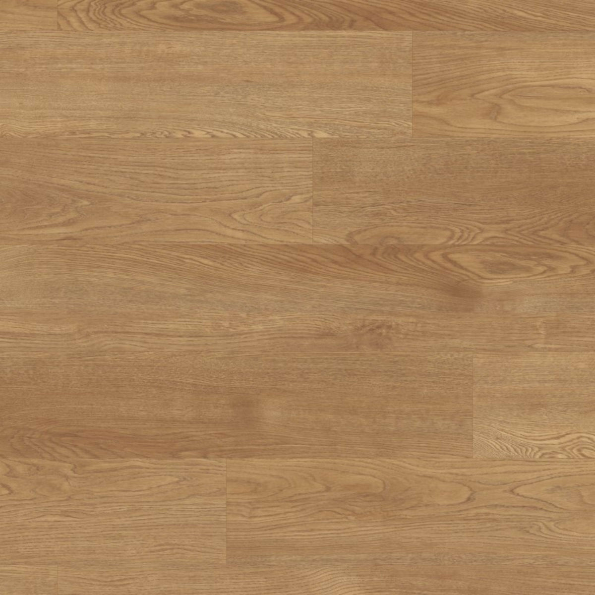 Glue Down Collection in Torcello Luxury Vinyl