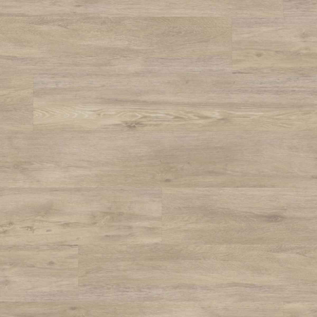 Glue Down Collection in Lampione Luxury Vinyl
