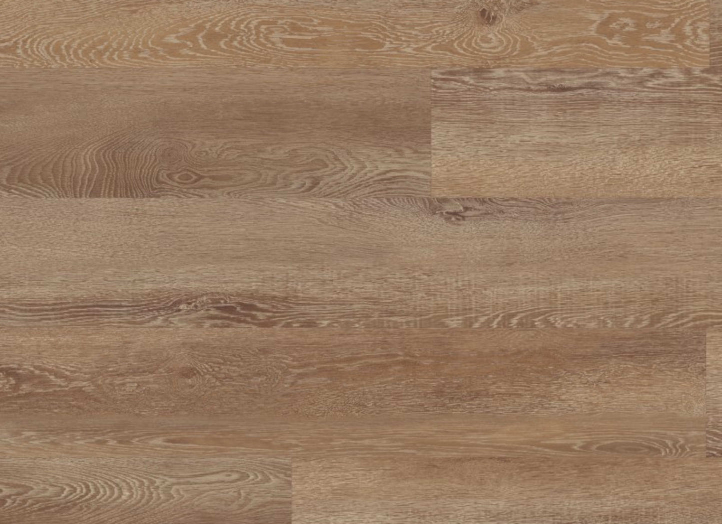 Glue Down Collection in Levanzo