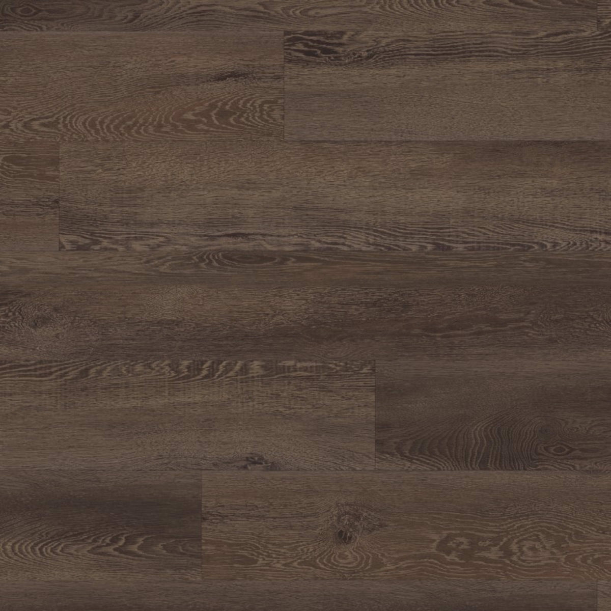 Glue Down Collection in Vivara Luxury Vinyl