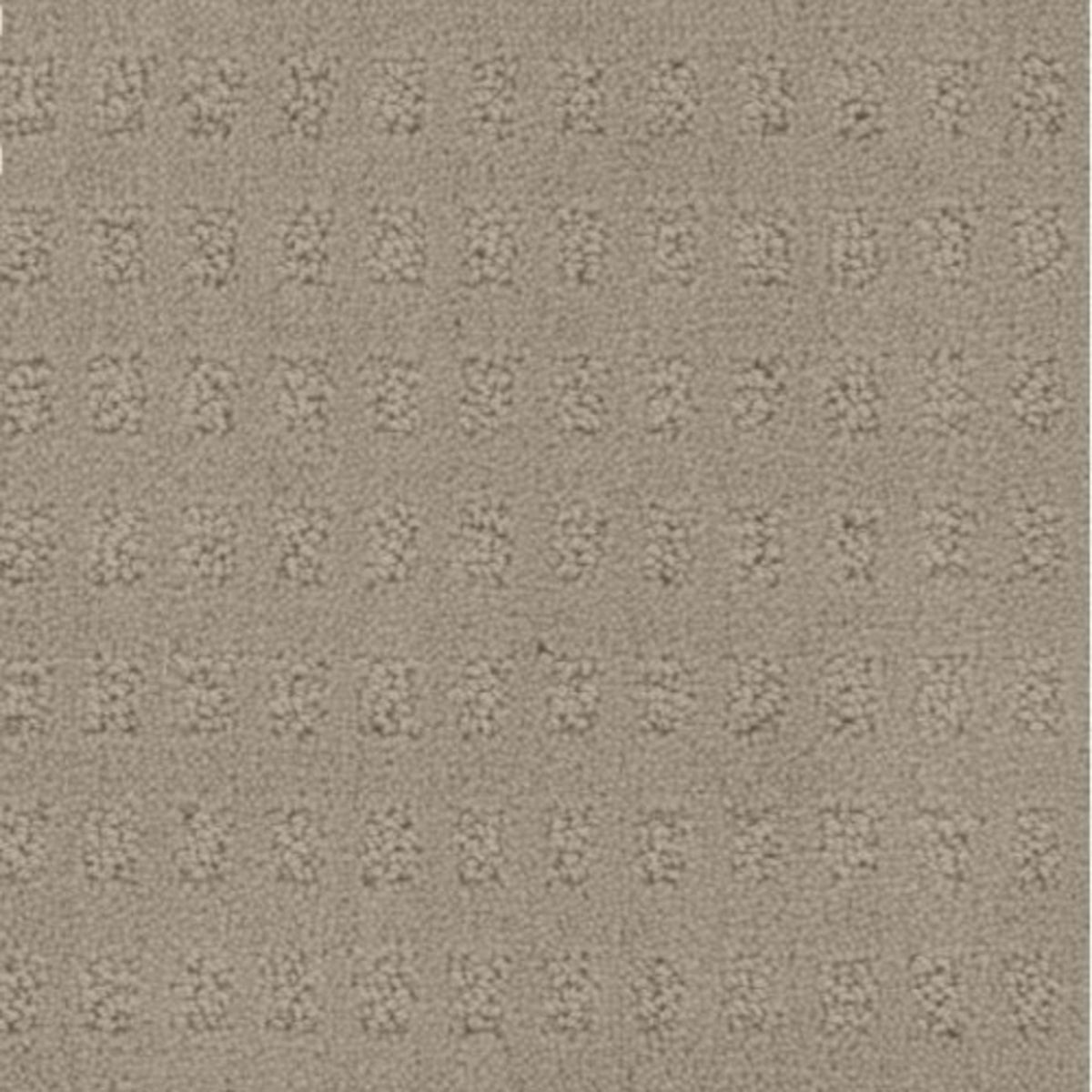 Pacific Heights in Weathered Carpet