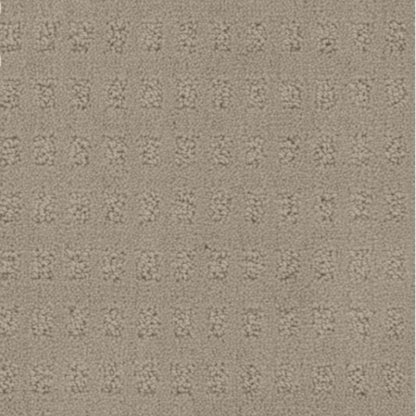 Pacific Heights in Weathered Carpet