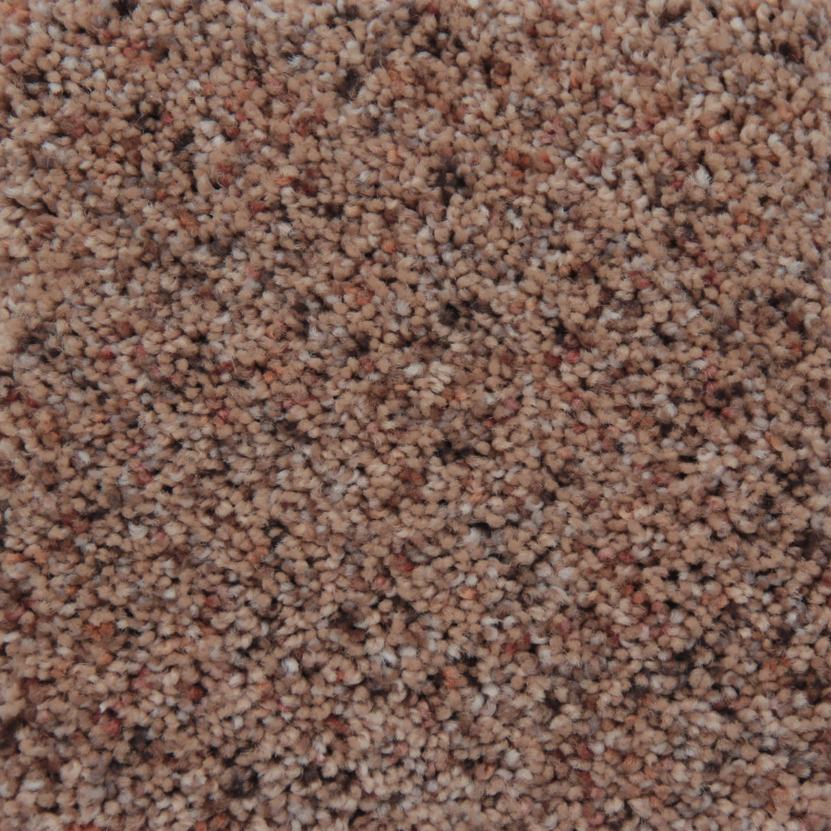 Pacific Grove in Sierra Sunrise Carpet