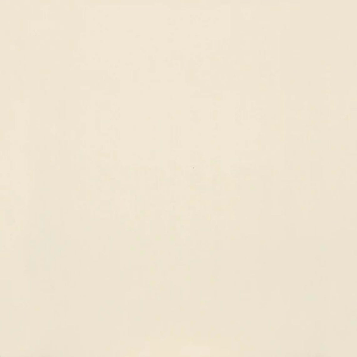 Clay Canvas in Paint-12x24-Polished Tile