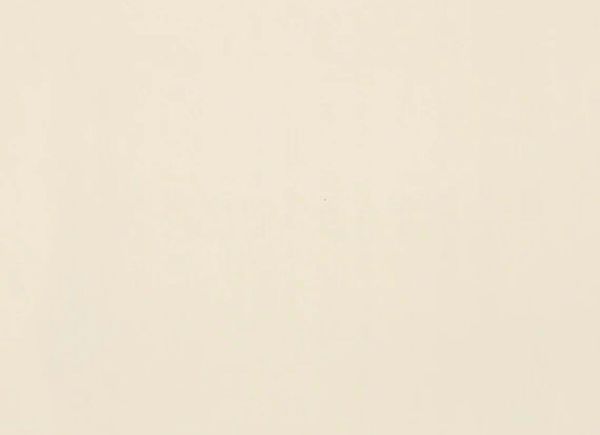 Clay Canvas in Paint-12x24-Polished