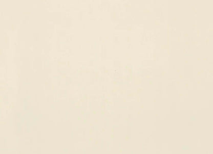 Clay Canvas in Paint-12x24-Polished