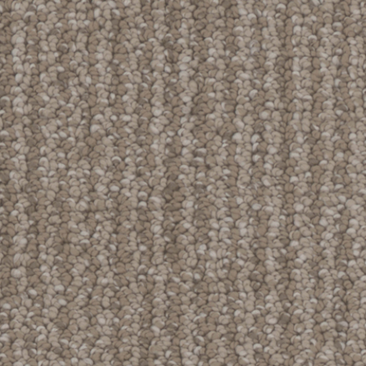 Palisades in Bungalow Carpet