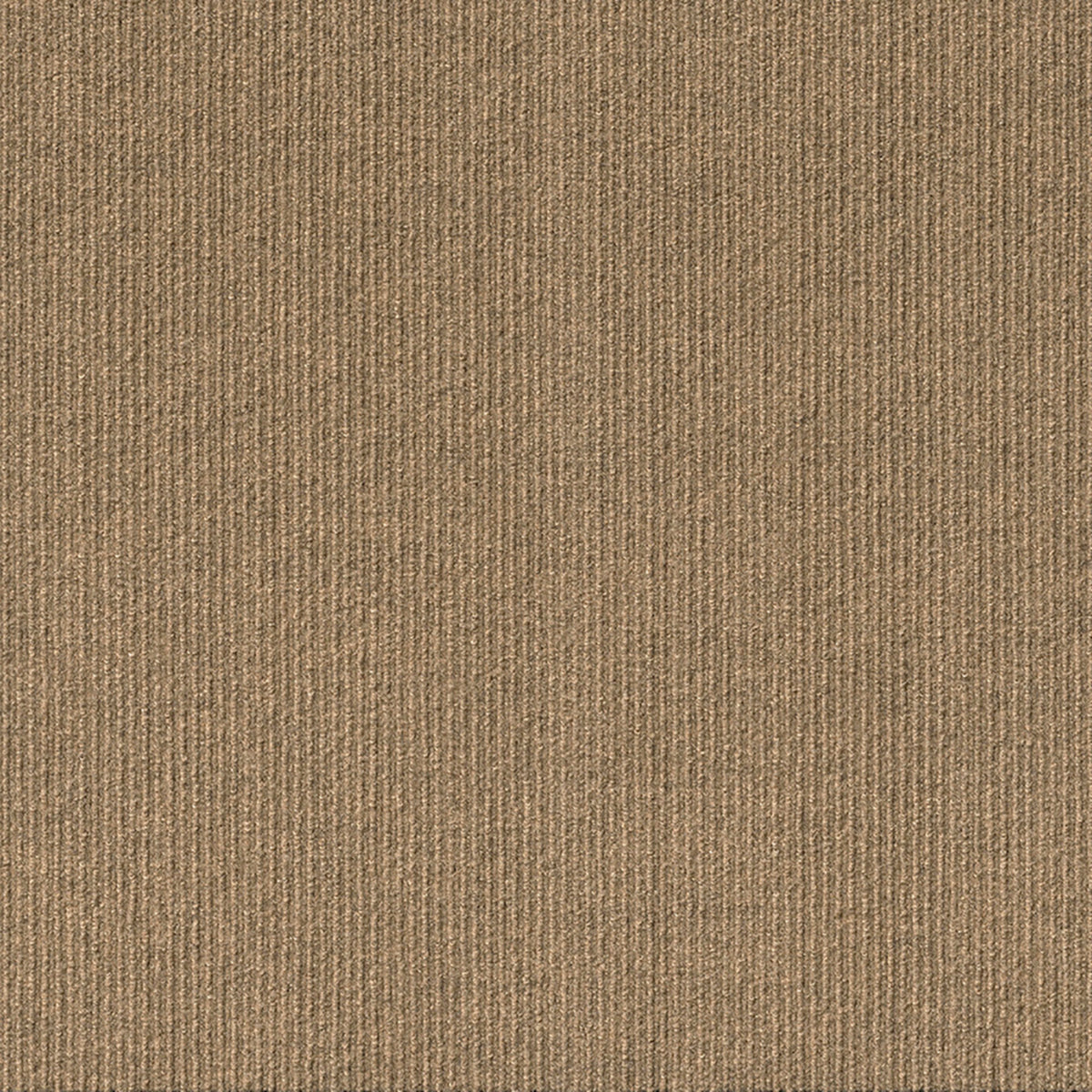 Palm Bay in Caramel Carpet