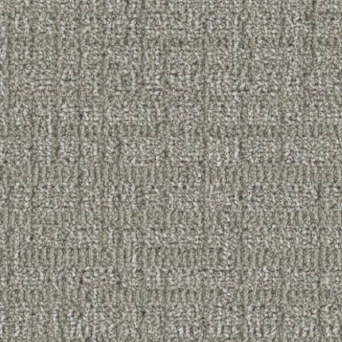 Papyrus in Porcelain Carpet