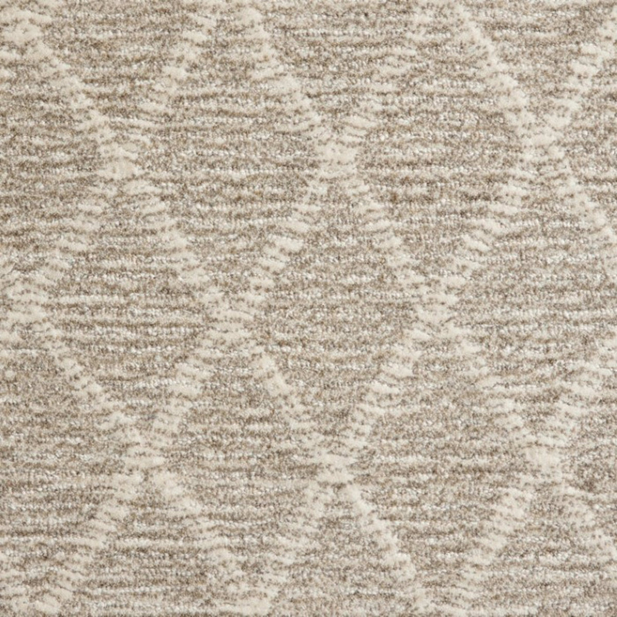 Paragon Point in Coconut Carpet