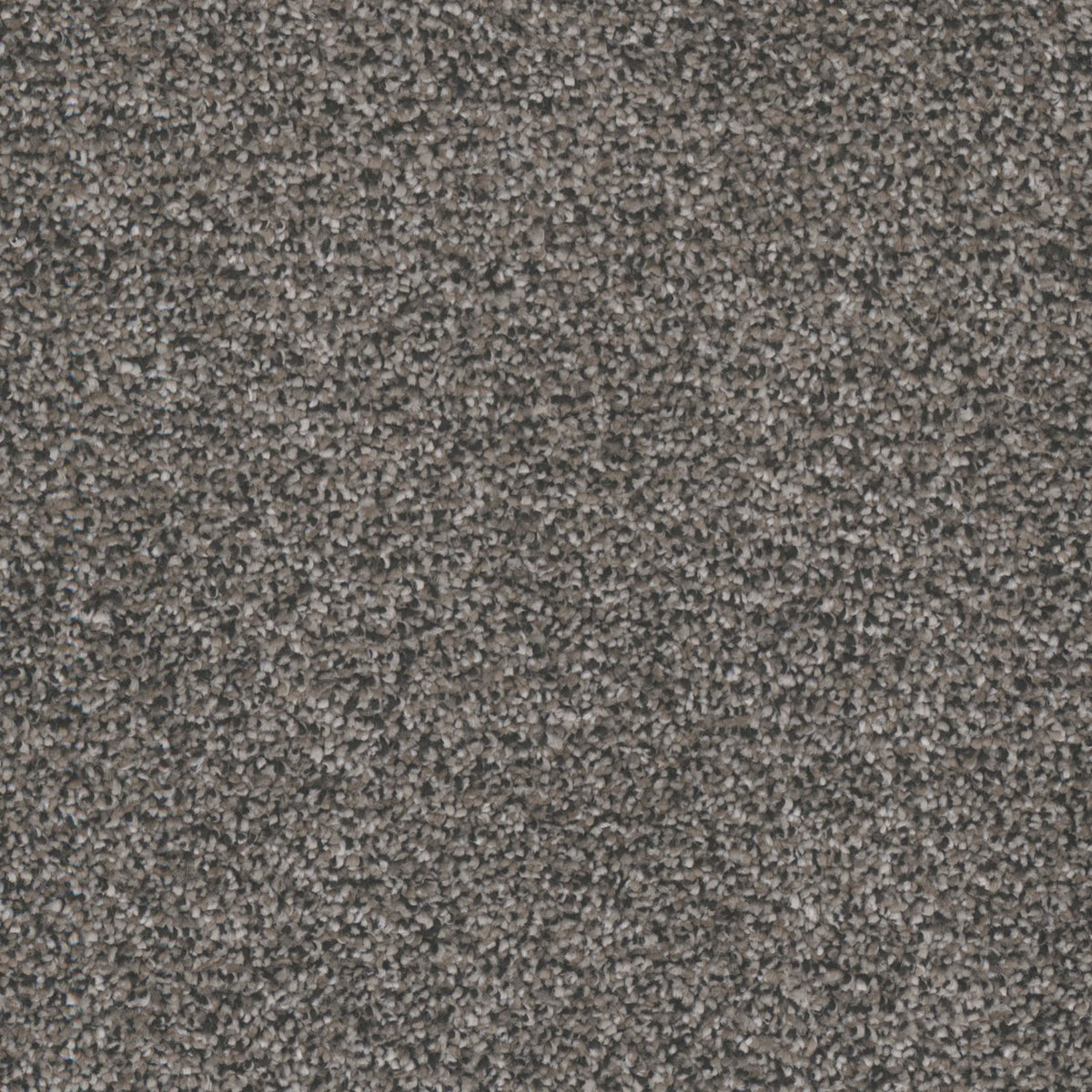 Candler Park in Prairie Carpet