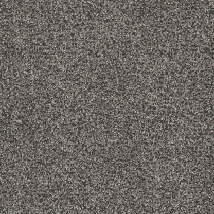 Candler Park in Prairie Carpet