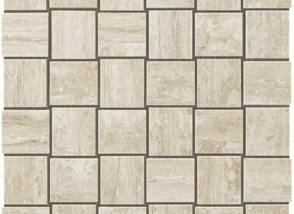 Path in White Net Mosaic