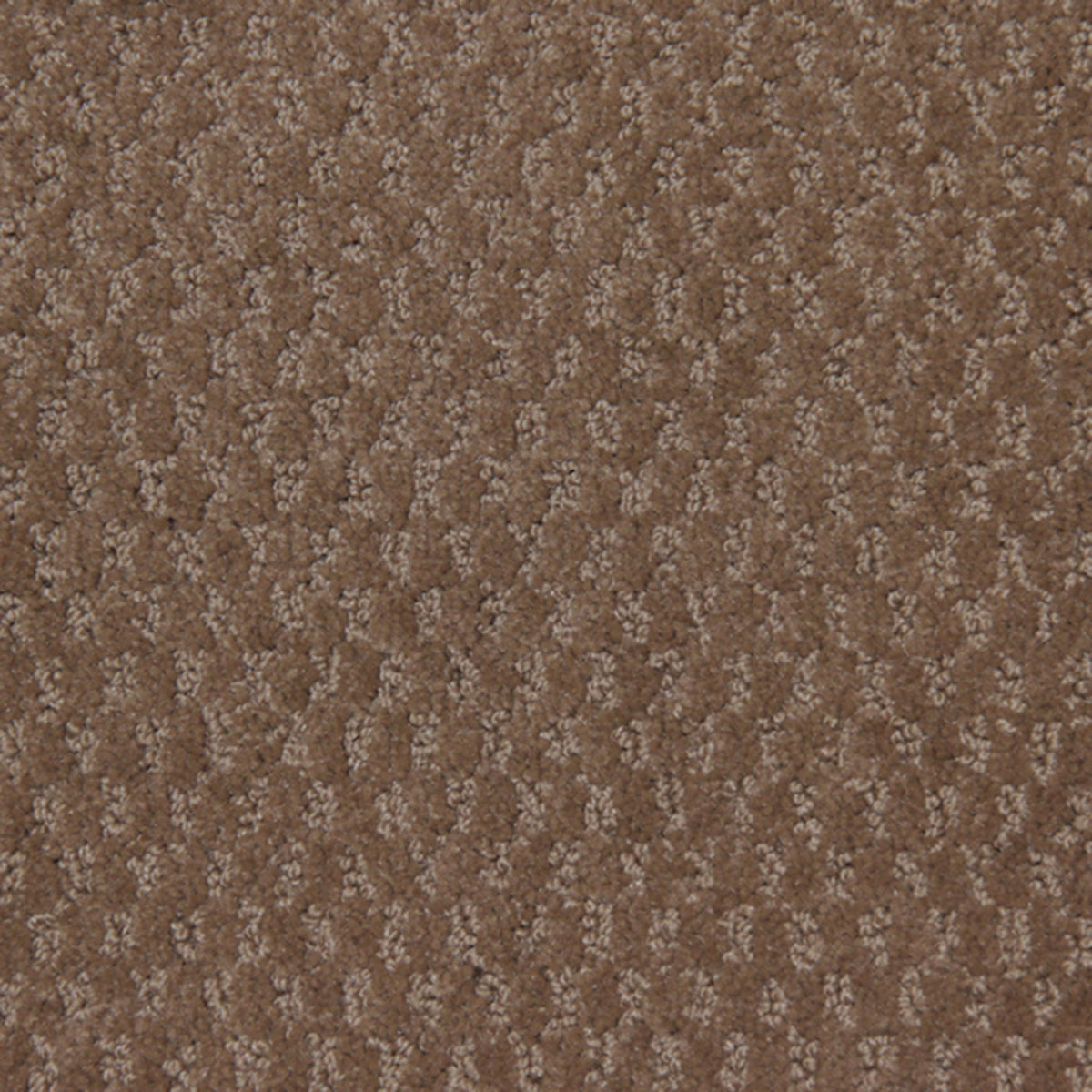 Perfect Setting in Earthscape Carpet