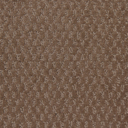 Perfect Setting in Earthscape Carpet