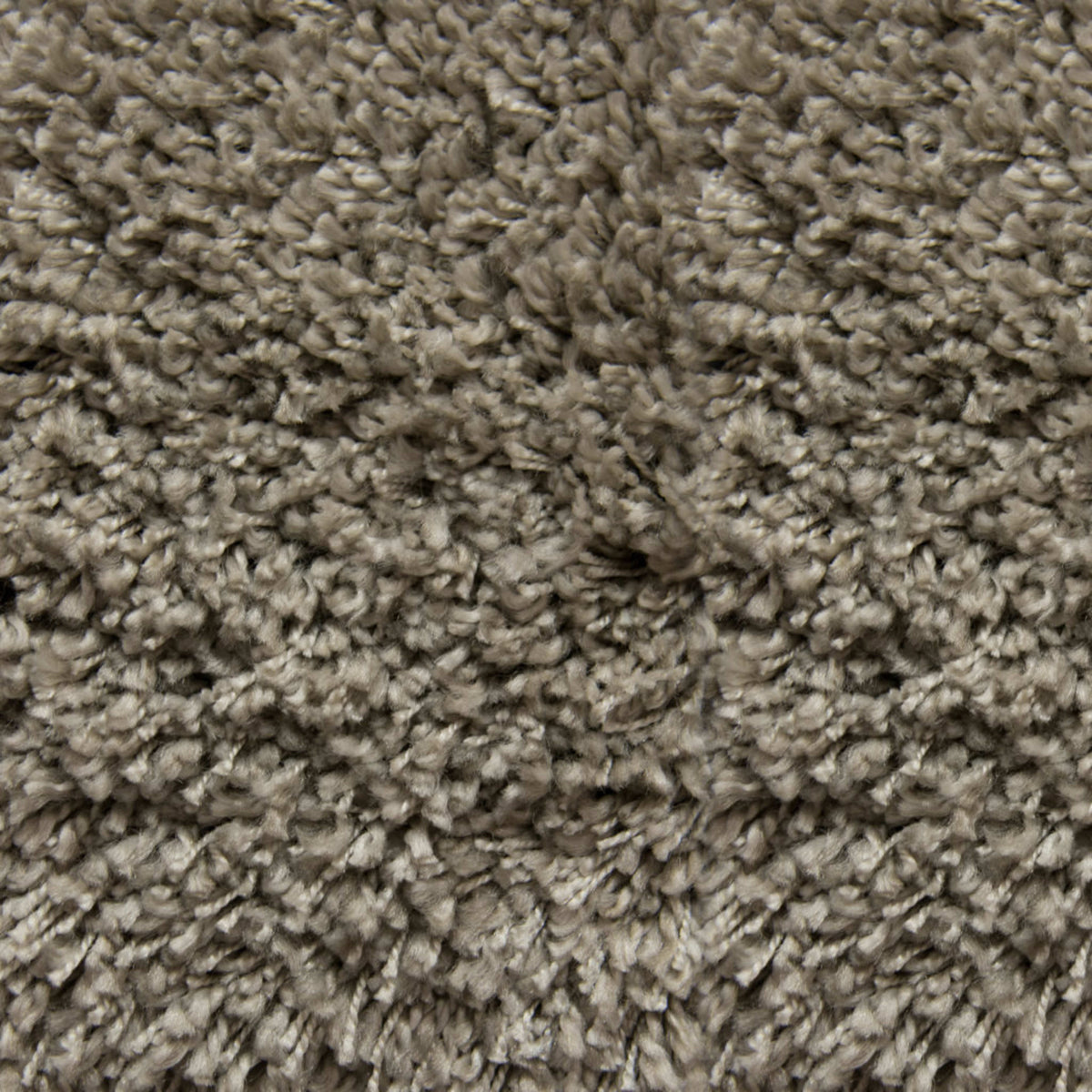 Phenomenal in Comfortable Carpet
