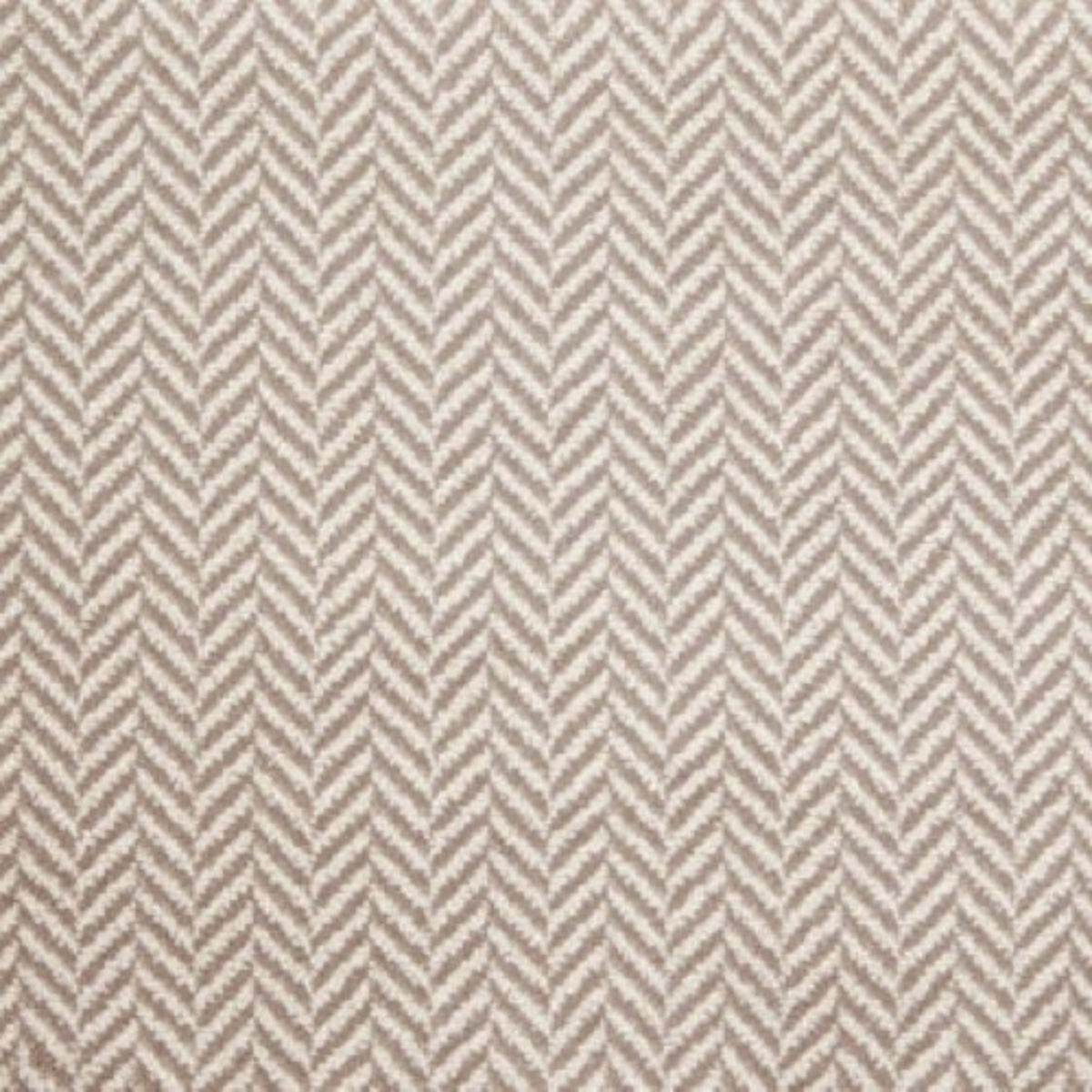 Phenomenon in Praline Carpet
