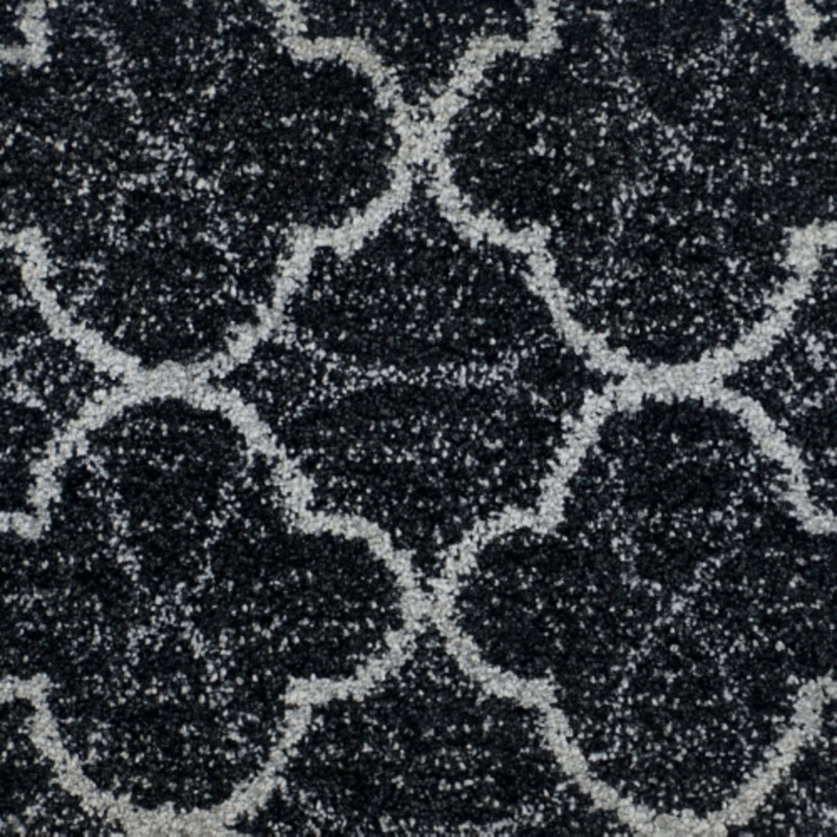 Pieno Di Vita in Sorpreso Carpet