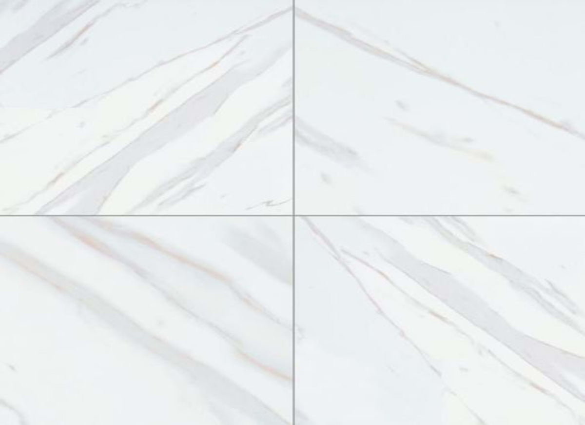 Pietra in Calacatta - 24x24 Matte