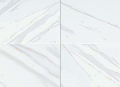 Pietra in Calacatta - 24x24 Matte