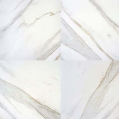 Pietra in Calacatta - 24x24 Polished Tile
