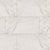 Pietra in Carrara - 12x24 Matte Tile