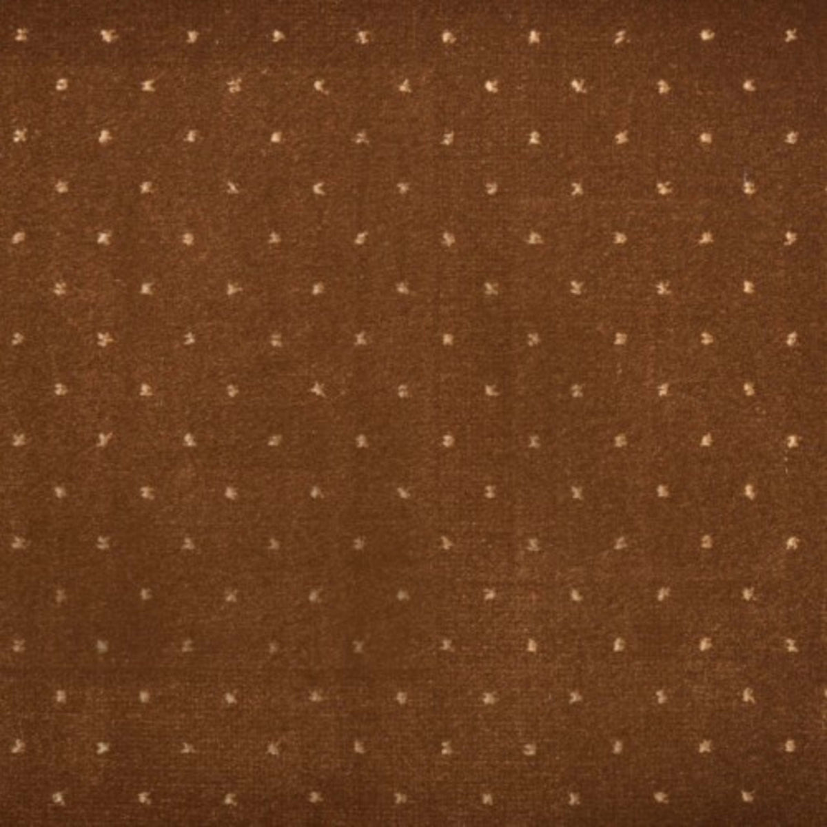 Pin Dot in Toast Carpet