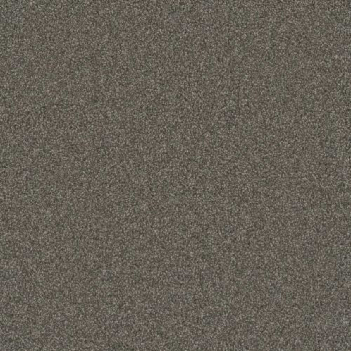 Gold Standard I in Platinum Carpet