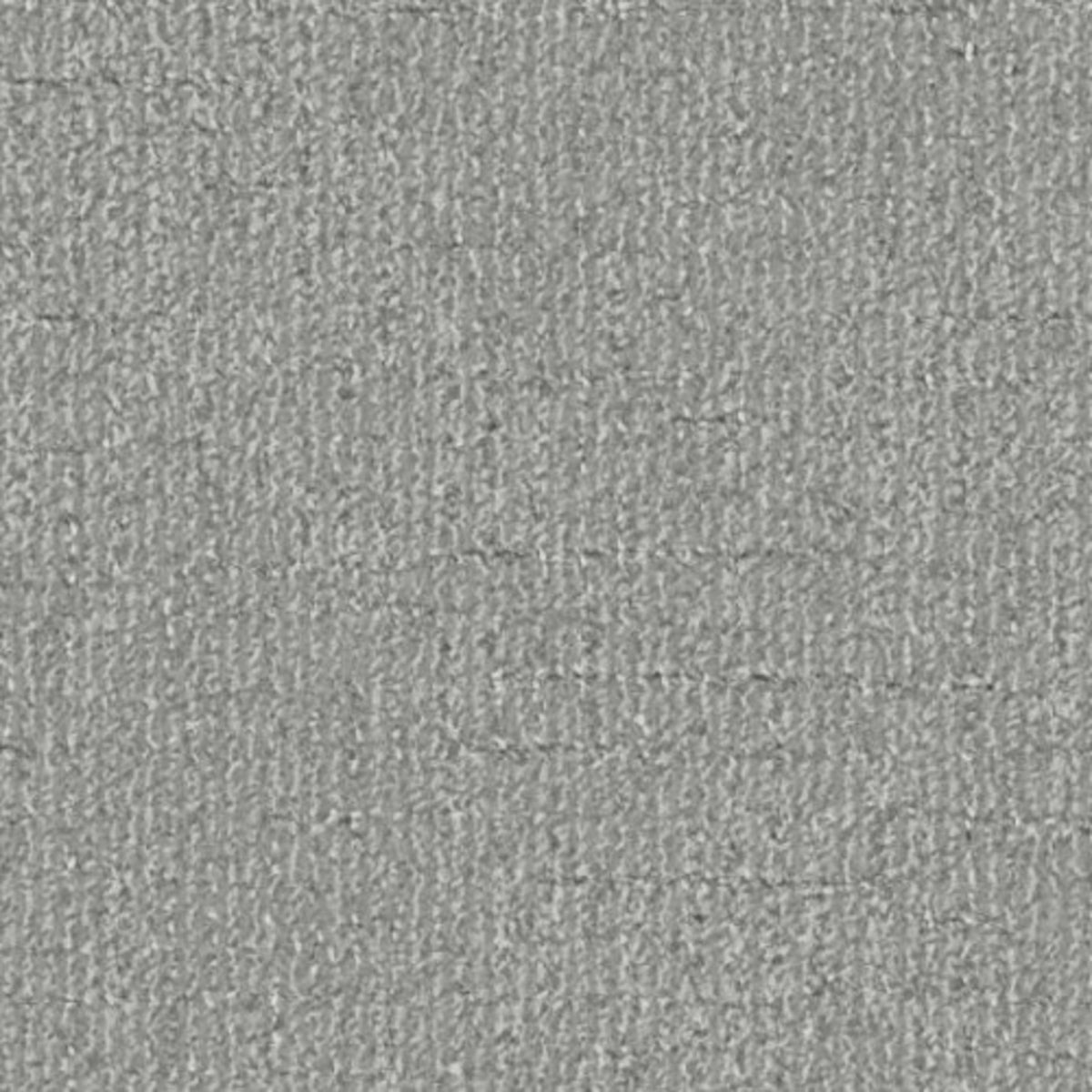 Pleasantries in Powder Gray Carpet