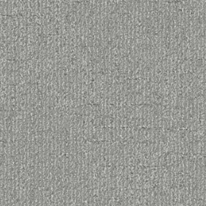 Pleasantries in Powder Gray Carpet