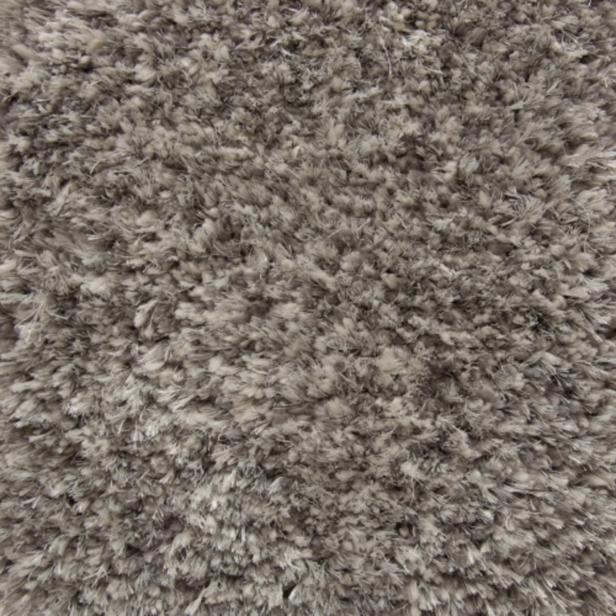 Marvelous in Plush Carpet