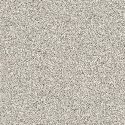 Windy City I in Polar Cap Carpet