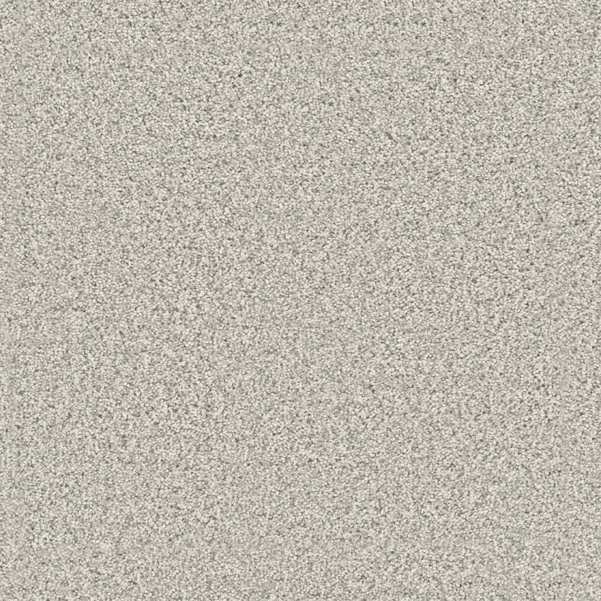 Windy City III in Polar Cap Carpet