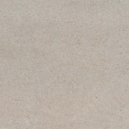 Porto II in Fawn 12" X 24" Matte Tile