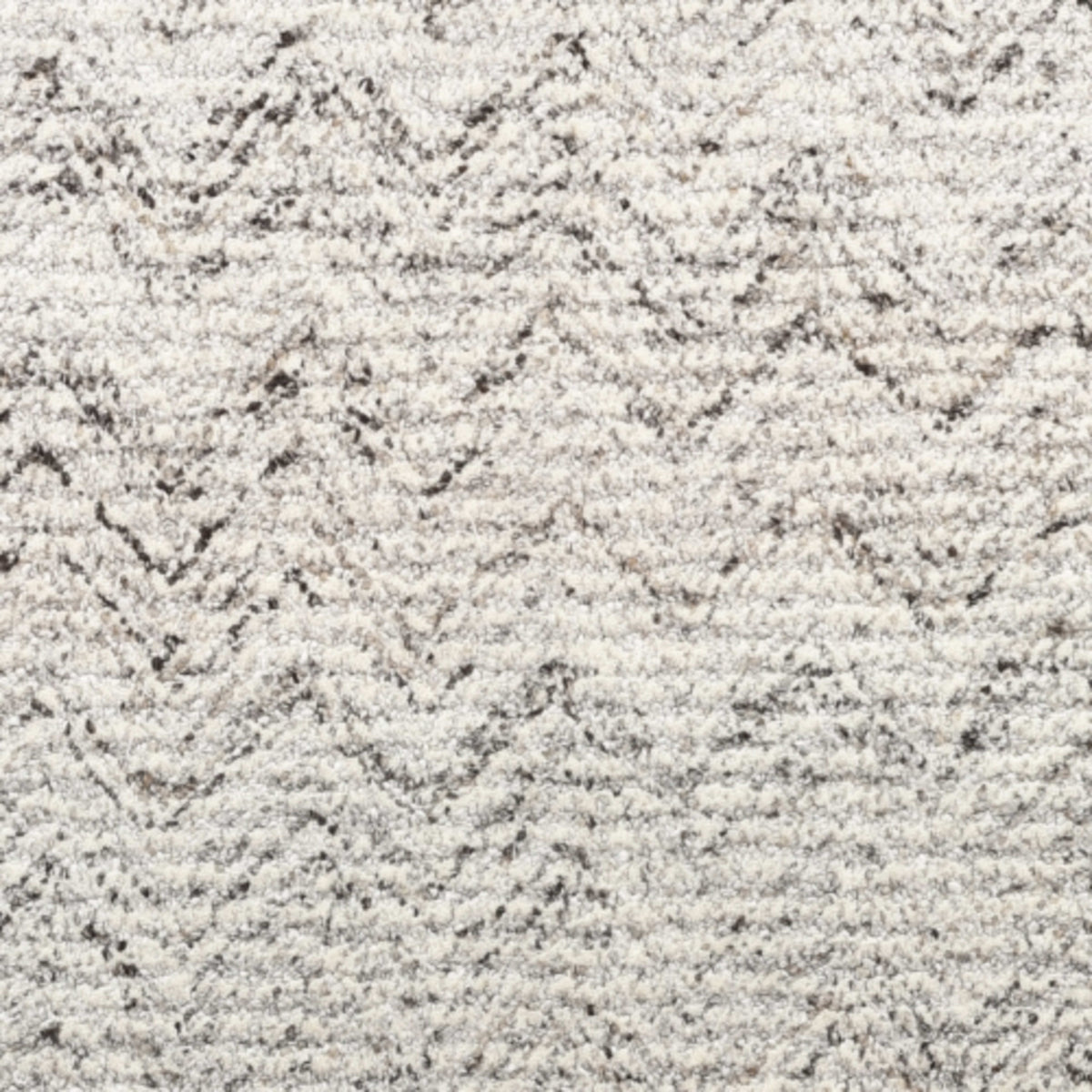 Premium in Paramount Carpet