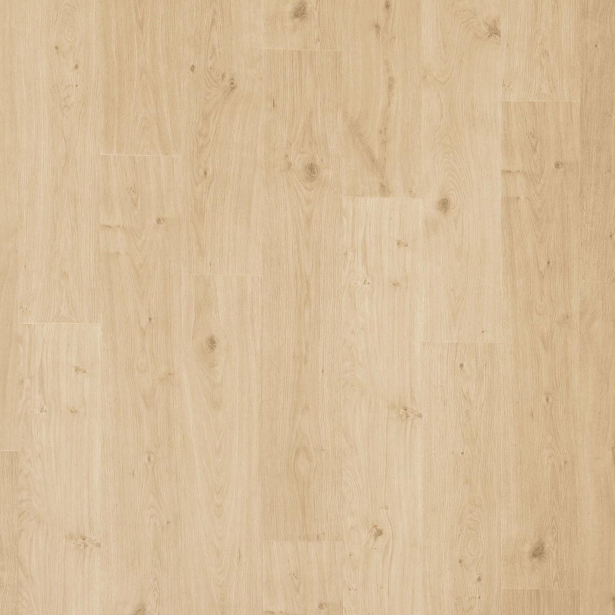 Transom in Preservation Oak Laminate