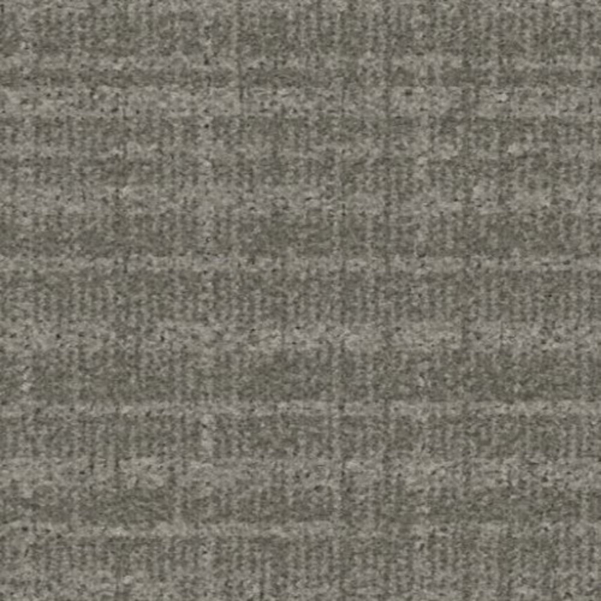 Presidio in Abalone Carpet