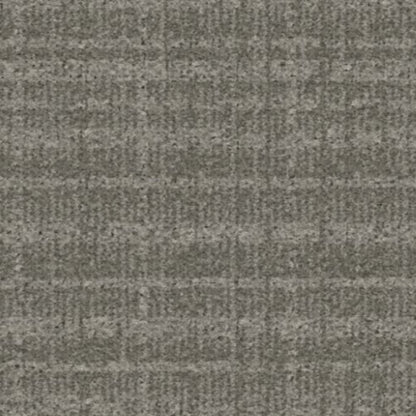 Presidio in Abalone Carpet