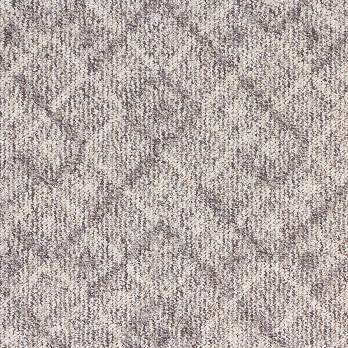Prestige II in Imperial Palace Carpet