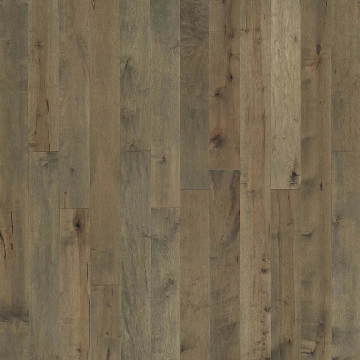 Novella in Frost Maple Hardwood