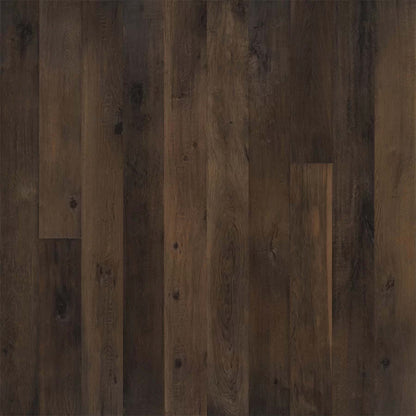 True Collection in Neroli Oak Hardwood