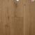 Dutch Masters in Bosch Hardwood