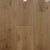 Dutch Masters in Gaspar Hardwood